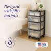 imageHOMZ Drawer Tower 4Tier Clear Plastic Storage Organizer Cart Black Frame  Rolling Drawer Containers with Wheels for Bathroom Bedroom Office and Classroom OrganizationClearBlack